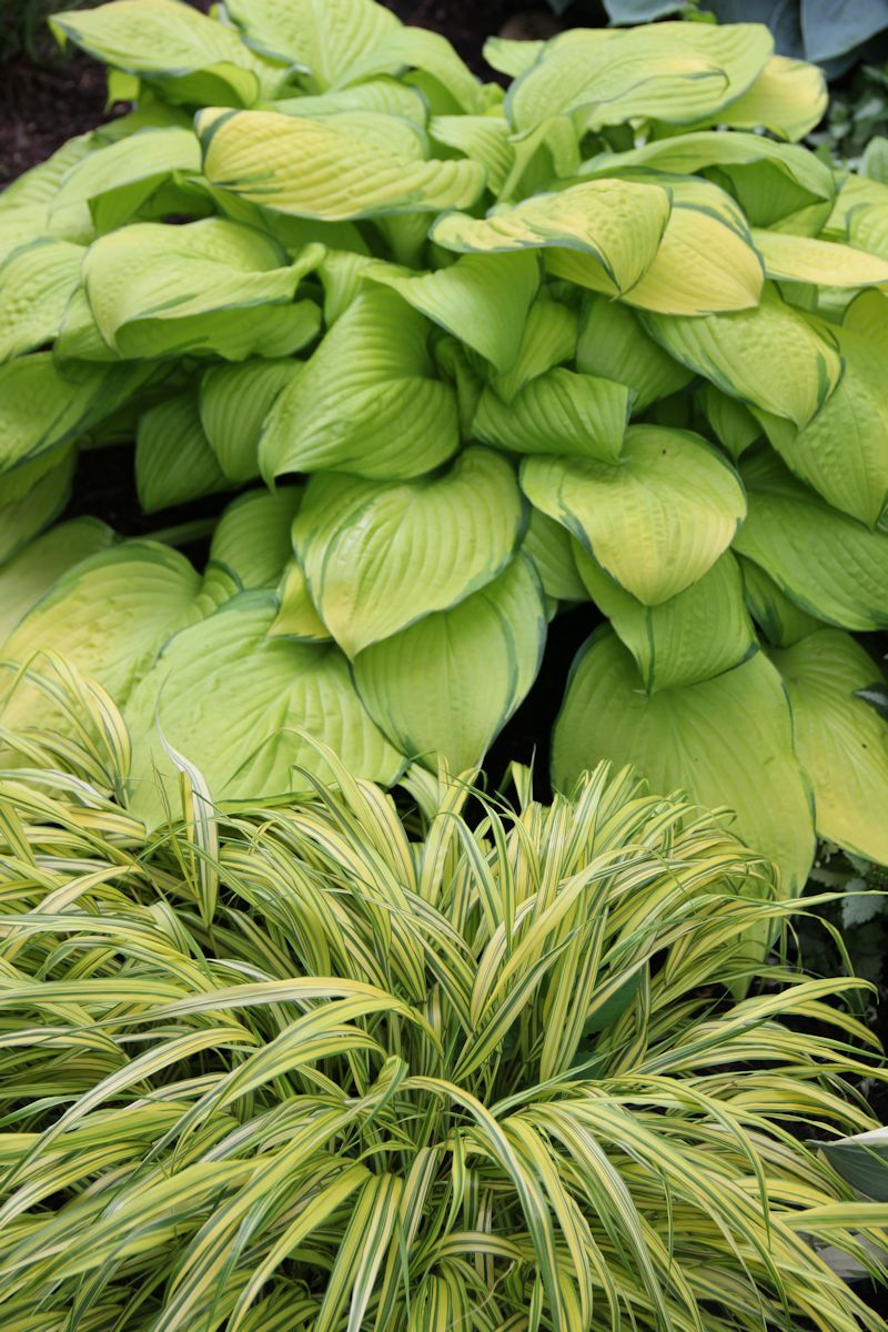 Pics-for-Web-site-14rs Pics-for-Web-site-14rs