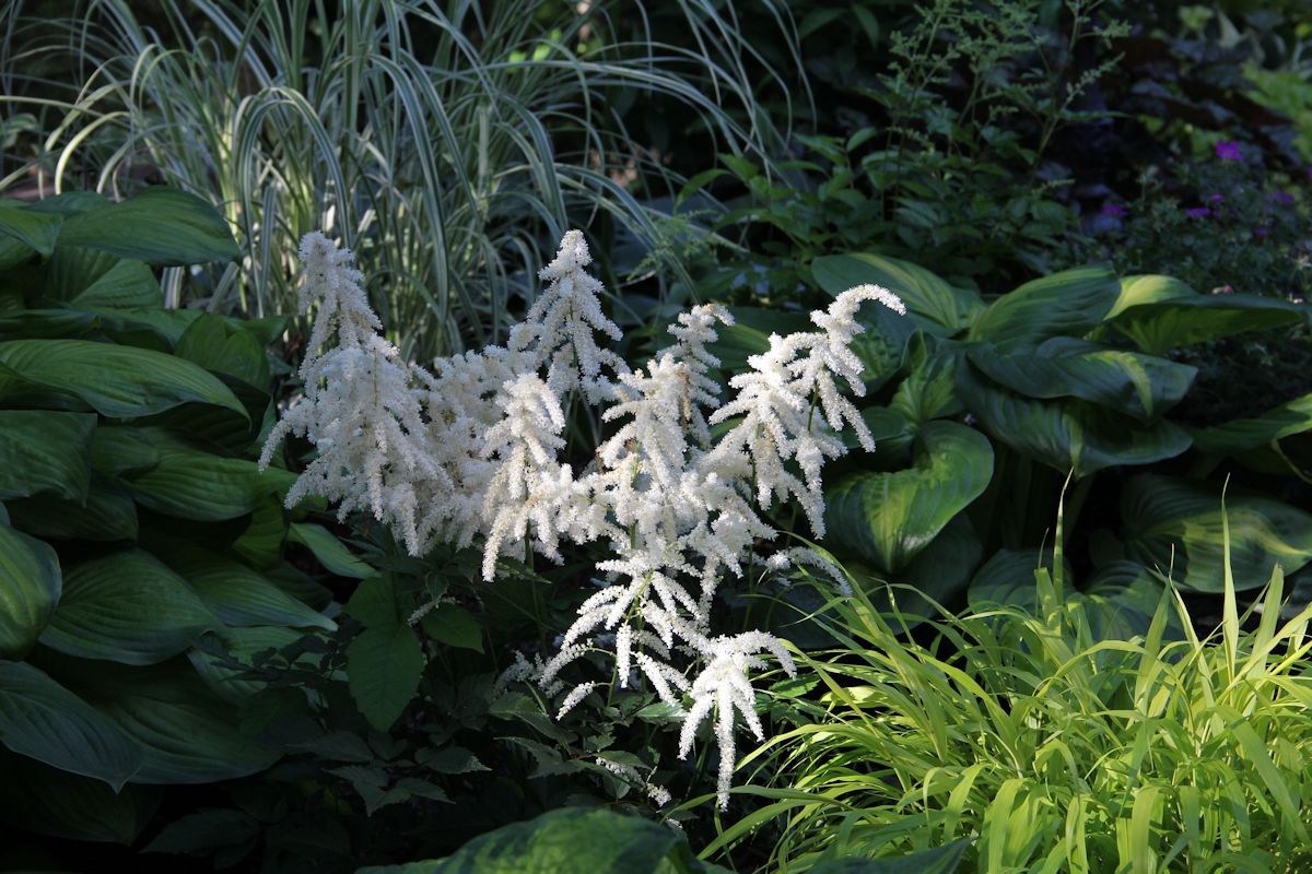 Pics-for-Web-site-16rs Pics-for-Web-site-16rs