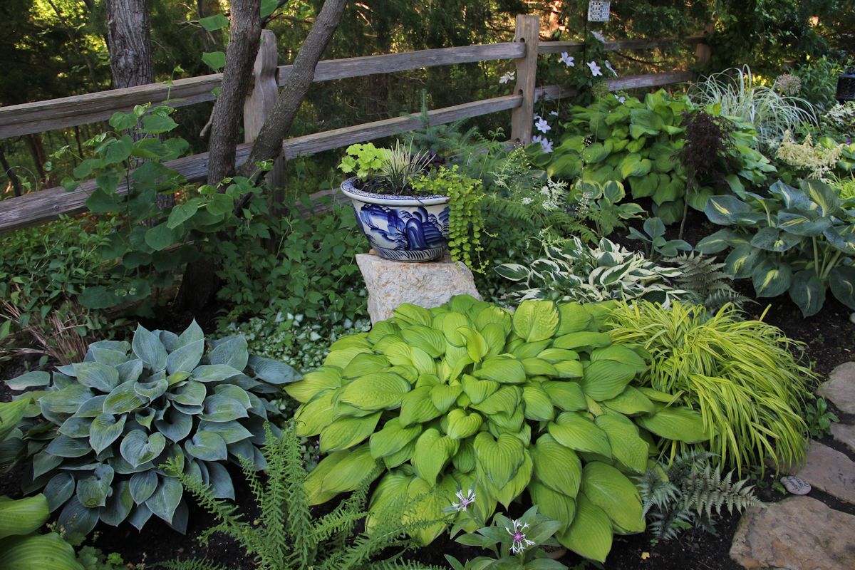 Pics-for-Web-site-20rs Pics-for-Web-site-20rs