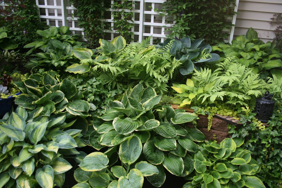 Pics-for-Web-site-3rs Pics-for-Web-site-3rs