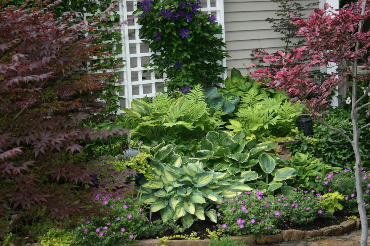 Pics-for-Web-site-5rs Pics-for-Web-site-5rs